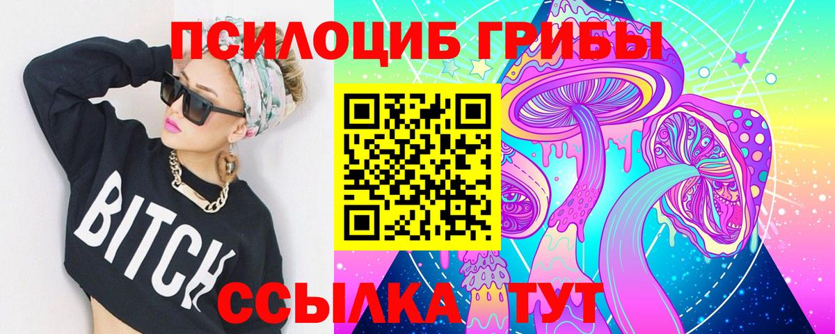 Ефремов  Галлюциногенные грибы Magic Shrooms  Вход с VPN 